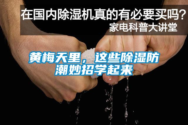 黃梅天里，這些除濕防潮妙招學(xué)起來(lái)