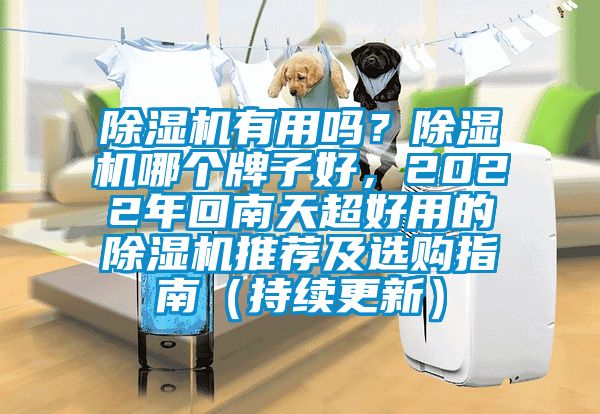 除濕機(jī)有用嗎？除濕機(jī)哪個(gè)牌子好，2022年回南天超好用的除濕機(jī)推薦及選購指南（持續(xù)更新）