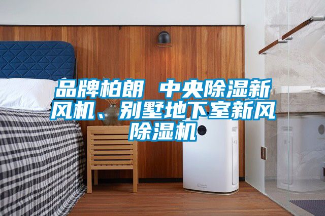 品牌柏朗 中央除濕新風(fēng)機(jī)、別墅地下室新風(fēng)除濕機(jī)