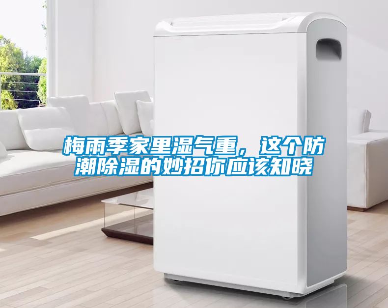 梅雨季家里濕氣重，這個(gè)防潮除濕的妙招你應(yīng)該知曉
