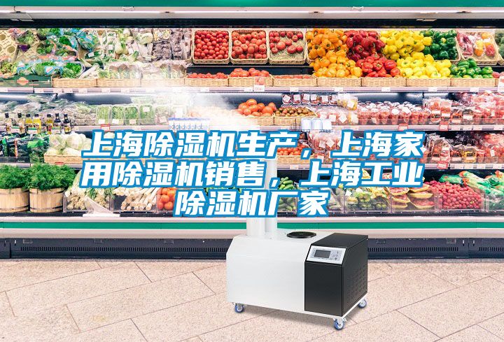 上海除濕機(jī)生產(chǎn)，上海家用除濕機(jī)銷售，上海工業(yè)除濕機(jī)廠家