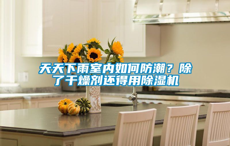 天天下雨室內(nèi)如何防潮？除了干燥劑還得用除濕機