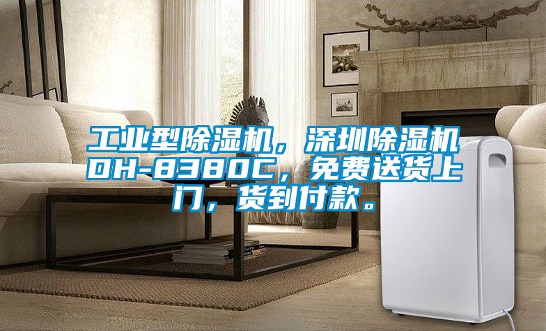 工業(yè)型除濕機(jī)，深圳除濕機(jī)DH-8380C，免費(fèi)送貨上門，貨到付款。