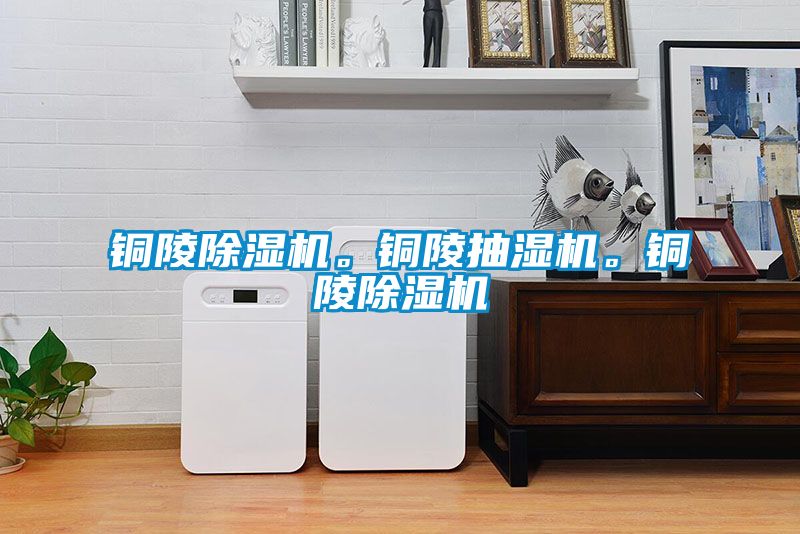 銅陵除濕機。銅陵抽濕機。銅陵除濕機