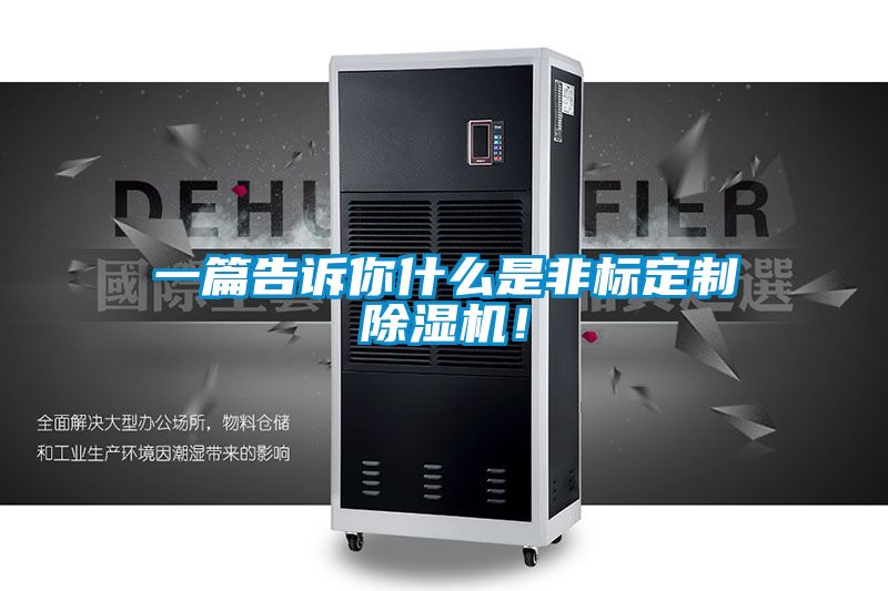 一篇告訴你什么是非標定制除濕機！