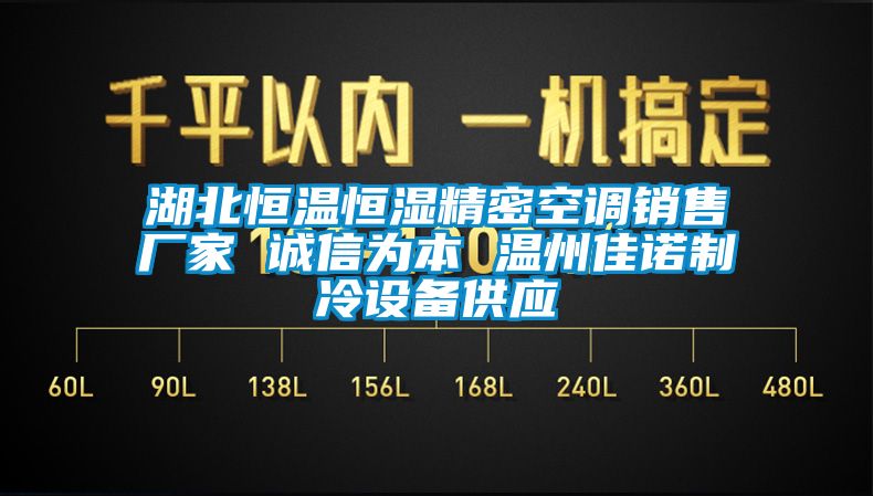 湖北恒溫恒濕精密空調(diào)銷售廠家 誠信為本 溫州佳諾制冷設(shè)備供應