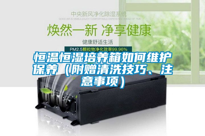恒溫恒濕培養(yǎng)箱如何維護(hù)保養(yǎng)（附贈清洗技巧、注意事項(xiàng)）