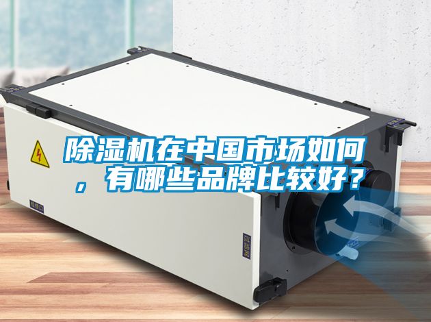 除濕機(jī)在中國市場如何，有哪些品牌比較好？