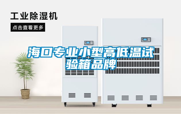 ?？趯I(yè)小型高低溫試驗(yàn)箱品牌