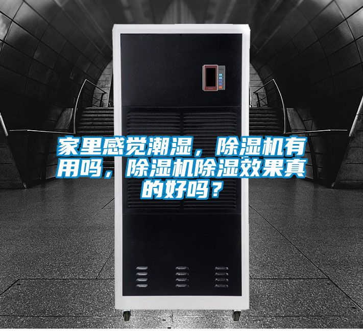 家里感覺潮濕，除濕機(jī)有用嗎，除濕機(jī)除濕效果真的好嗎？