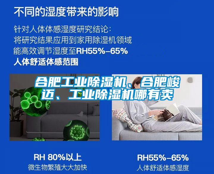 合肥工業(yè)除濕機、合肥峻邁、工業(yè)除濕機哪有賣