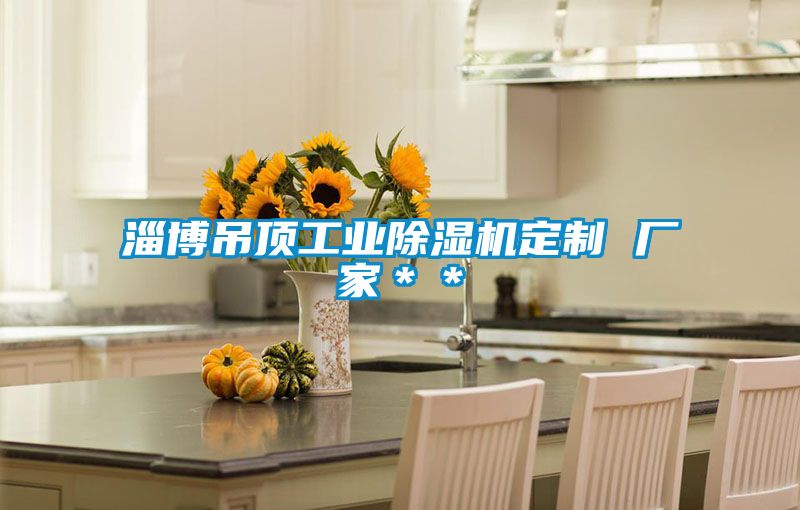 淄博吊頂工業(yè)除濕機(jī)定制 廠(chǎng)家＊＊