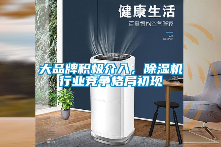 大品牌積極介入，除濕機(jī)行業(yè)競爭格局初現(xiàn)
