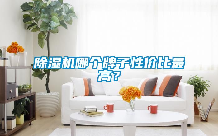 除濕機(jī)哪個(gè)牌子性價(jià)比最高？