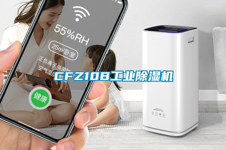 CFZ10B工業(yè)除濕機(jī)