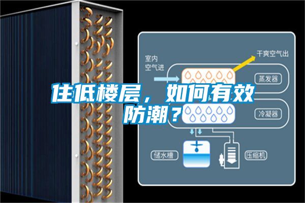 住低樓層，如何有效防潮？