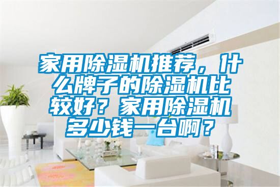 家用除濕機推薦，什么牌子的除濕機比較好？家用除濕機多少錢一臺啊？