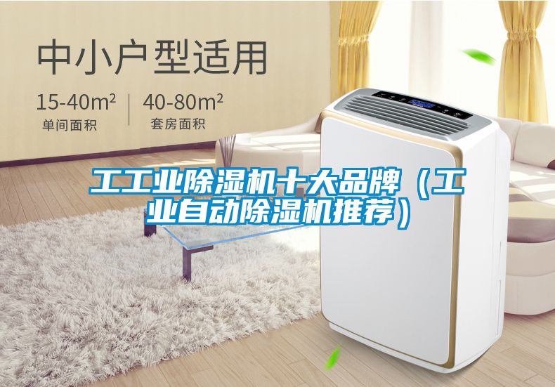 工工業(yè)除濕機(jī)十大品牌（工業(yè)自動除濕機(jī)推薦）
