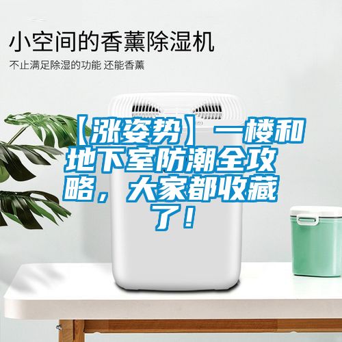 【漲姿勢(shì)】一樓和地下室防潮全攻略，大家都收藏了！