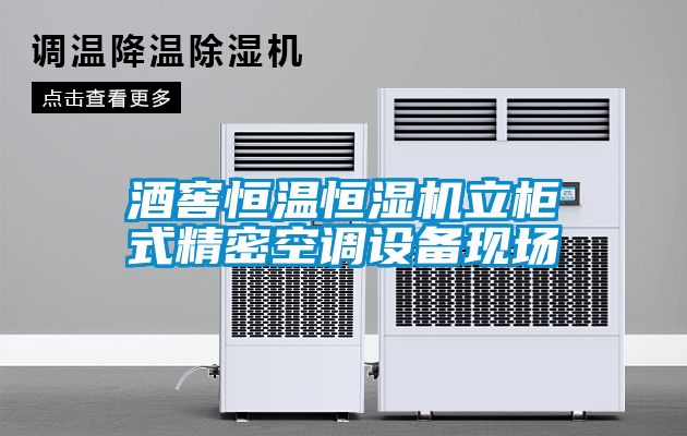 酒窖恒溫恒濕機(jī)立柜式精密空調(diào)設(shè)備現(xiàn)場