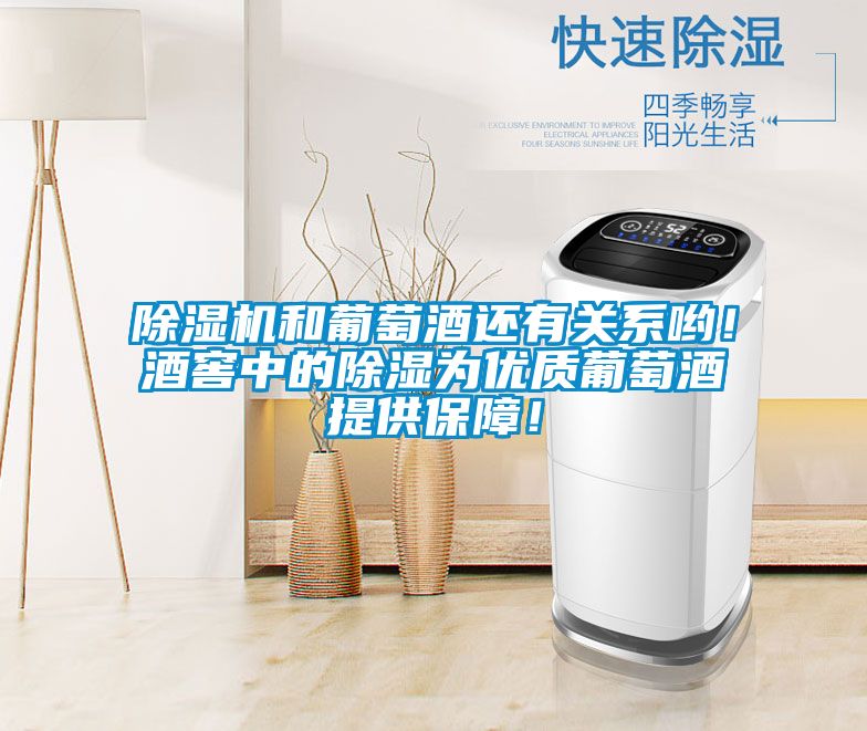 除濕機和葡萄酒還有關(guān)系喲！酒窖中的除濕為優(yōu)質(zhì)葡萄酒提供保障！