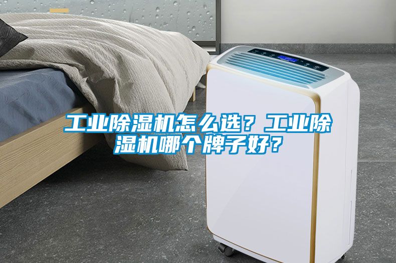 工業(yè)除濕機怎么選？工業(yè)除濕機哪個牌子好？
