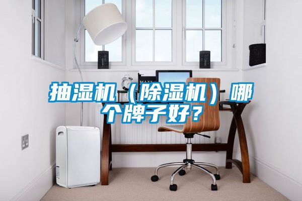 抽濕機(jī)（除濕機(jī)）哪個(gè)牌子好？