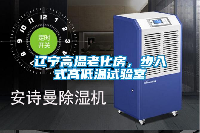 遼寧高溫老化房，步入式高低溫試驗室
