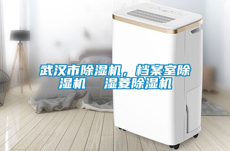 武漢市除濕機，檔案室除濕機  濕菱除濕機