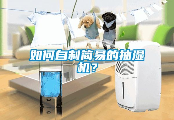 如何自制簡(jiǎn)易的抽濕機(jī)？