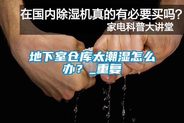 地下室倉(cāng)庫太潮濕怎么辦？_重復(fù)