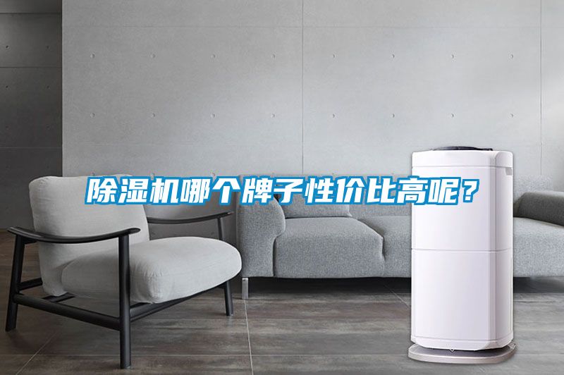 除濕機哪個牌子性價比高呢？