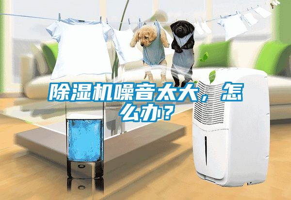 除濕機(jī)噪音太大，怎么辦？