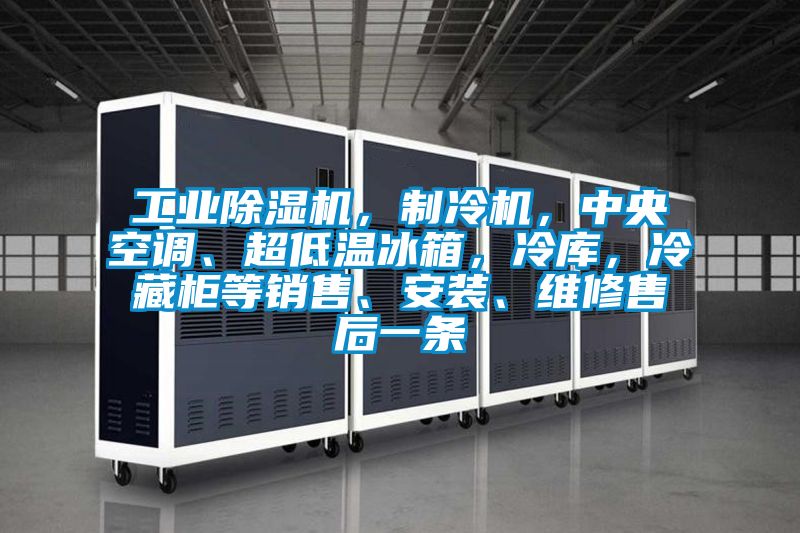 工業(yè)除濕機(jī)，制冷機(jī)，中央空調(diào)、超低溫冰箱，冷庫，冷藏柜等銷售、安裝、維修售后一條