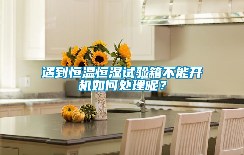 遇到恒溫恒濕試驗(yàn)箱不能開(kāi)機(jī)如何處理呢？
