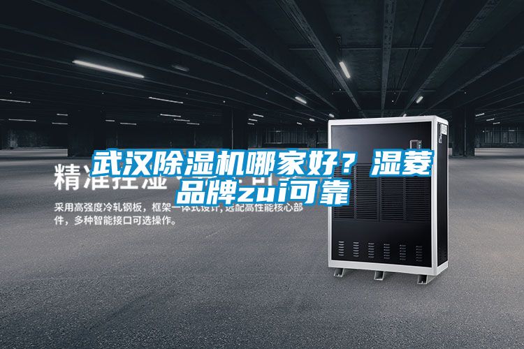 武漢除濕機(jī)哪家好？濕菱品牌zui可靠