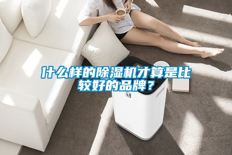 什么樣的除濕機才算是比較好的品牌？