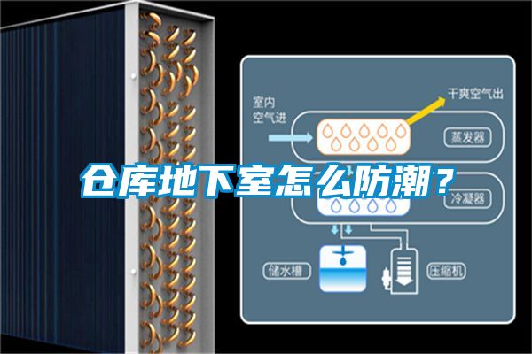 倉(cāng)庫(kù)地下室怎么防潮？