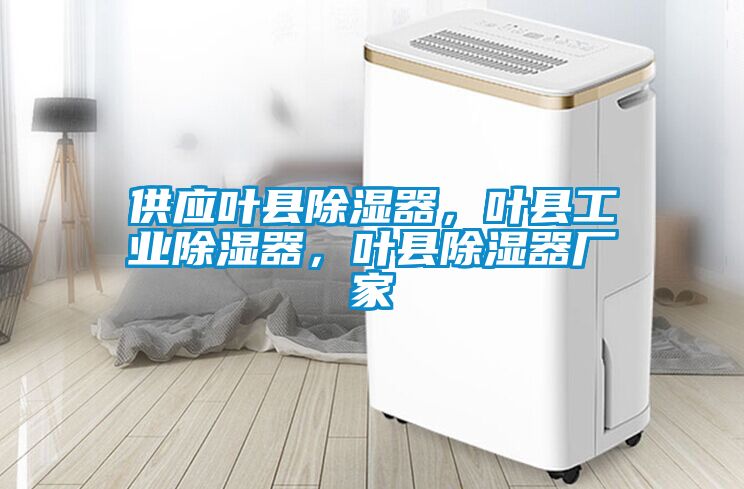 供應葉縣除濕器，葉縣工業(yè)除濕器，葉縣除濕器廠家