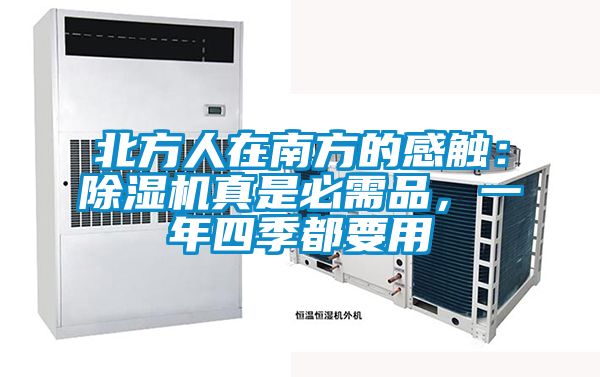 北方人在南方的感觸：除濕機真是必需品，一年四季都要用