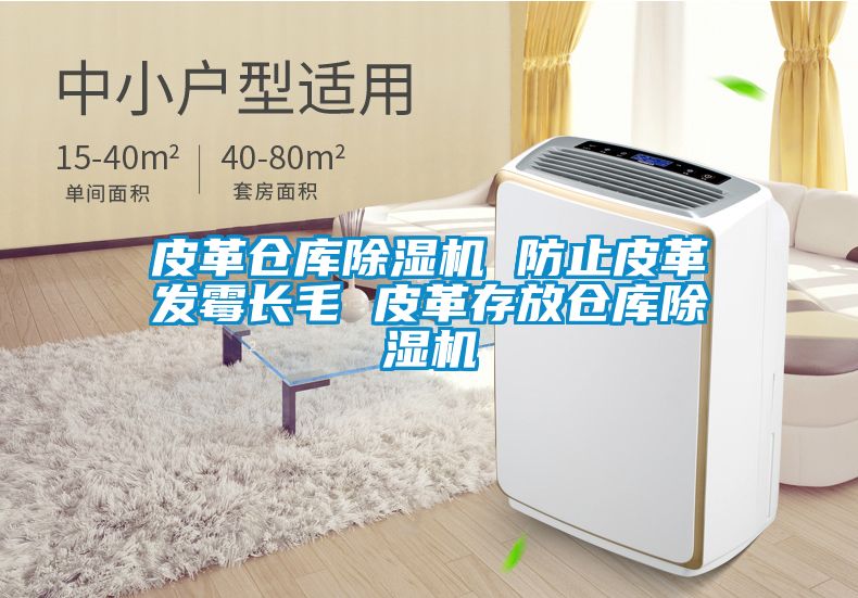 皮革倉庫除濕機(jī) 防止皮革發(fā)霉長(zhǎng)毛 皮革存放倉庫除濕機(jī)