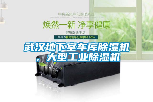 武漢地下室車庫除濕機，大型工業(yè)除濕機