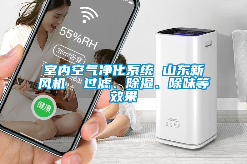 室內(nèi)空氣凈化系統(tǒng) 山東新風機  過濾、除濕、除味等效果