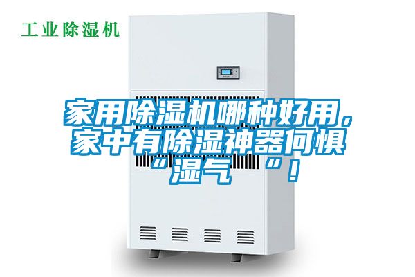 家用除濕機(jī)哪種好用，家中有除濕神器何懼 “濕氣 “！