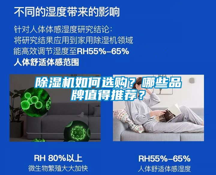 除濕機如何選購？哪些品牌值得推薦？