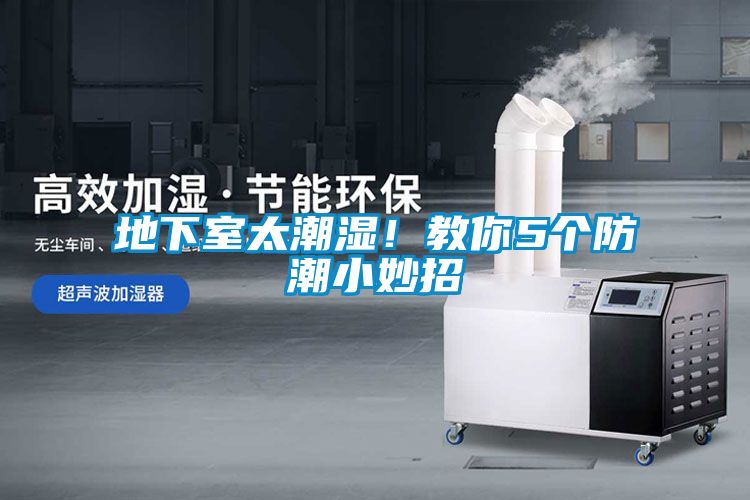地下室太潮濕！教你5個(gè)防潮小妙招