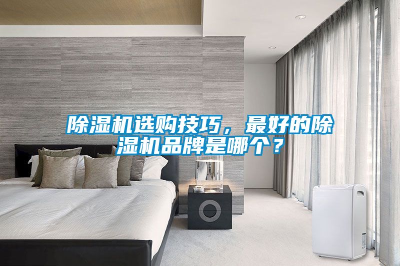 除濕機(jī)選購技巧，最好的除濕機(jī)品牌是哪個？