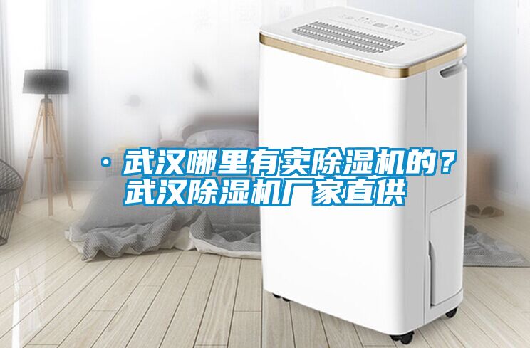·武漢哪里有賣除濕機的？武漢除濕機廠家直供