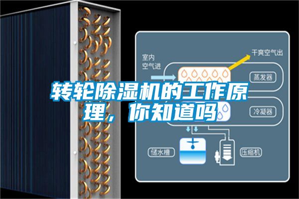 轉(zhuǎn)輪除濕機的工作原理，你知道嗎