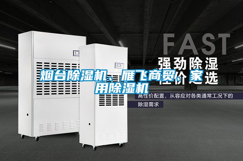 煙臺除濕機、雁飛商貿、家用除濕機